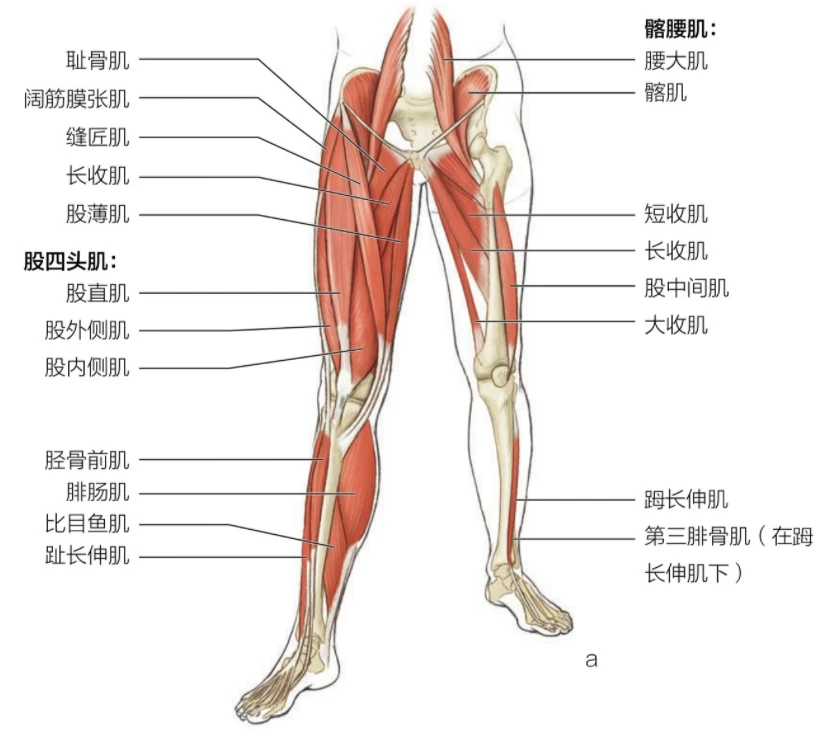 资深篮球爱好者如何保持和发展竞技水平_1